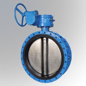 Butterfly Valve